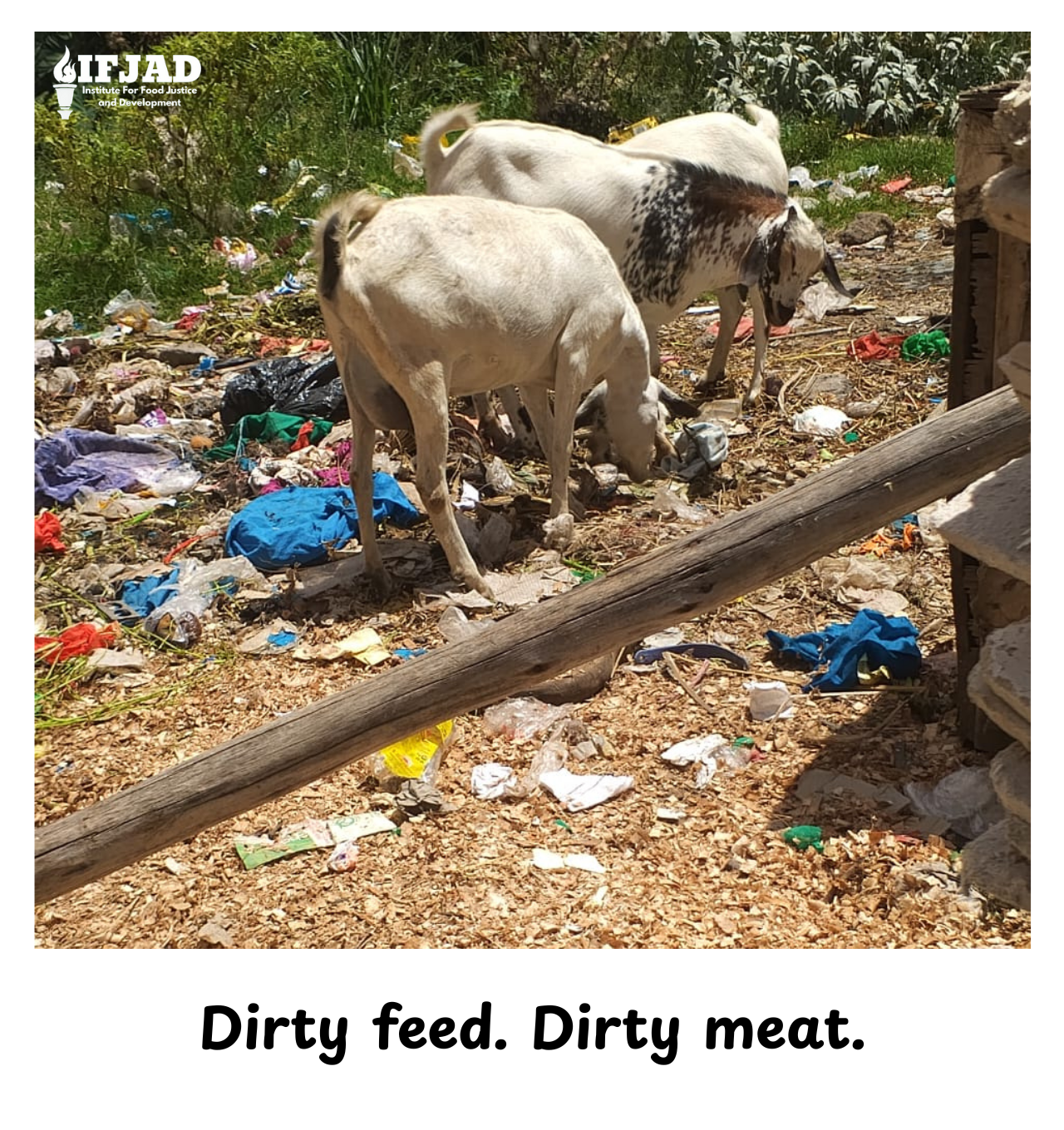 Is this meat safe for you