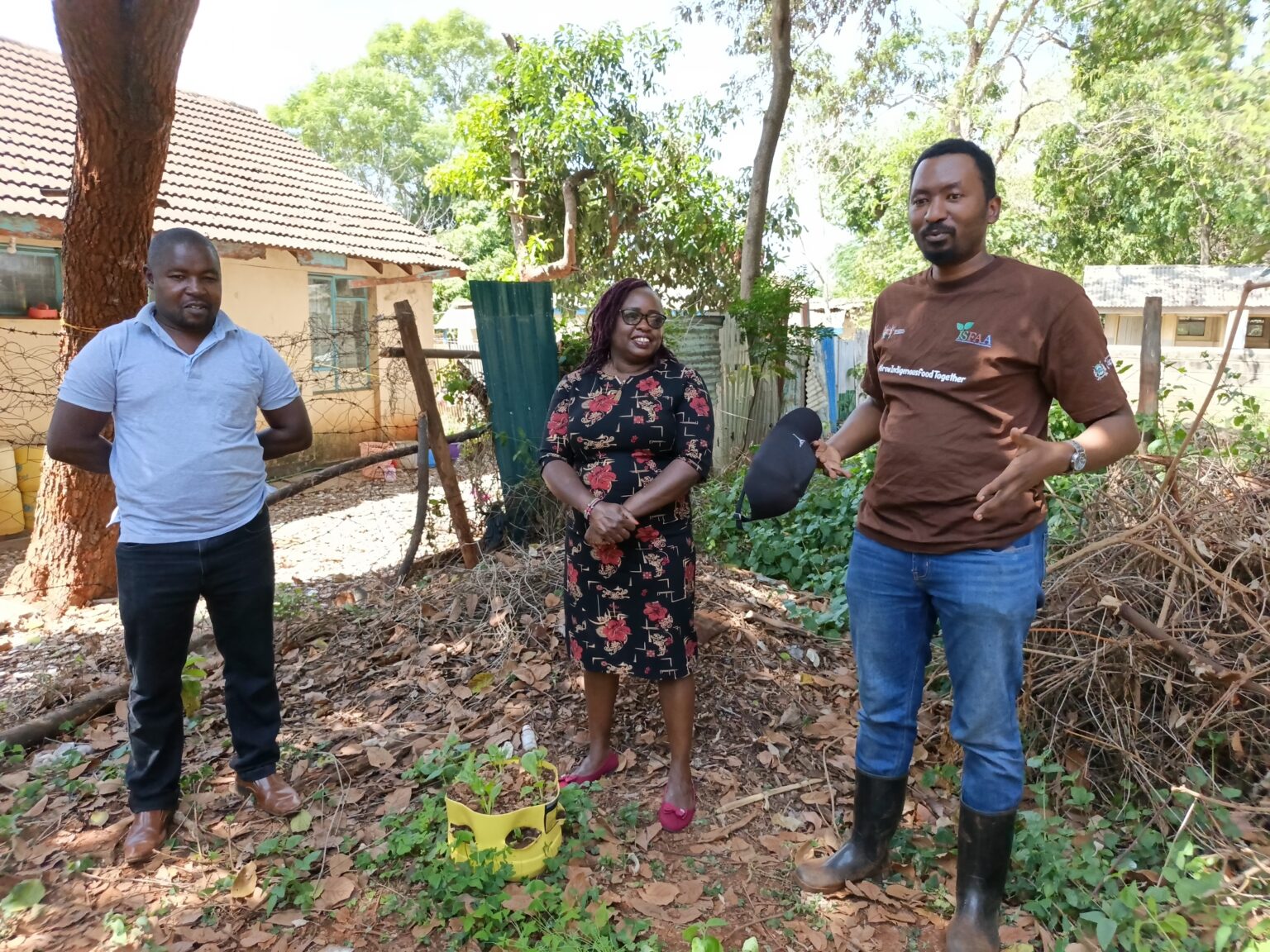 0-4064x3048-0-0-{}-0-24#Banding:0