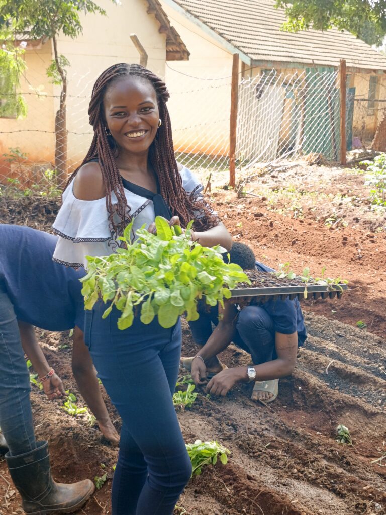 0-3048x4064-0-0-{}-0-24#