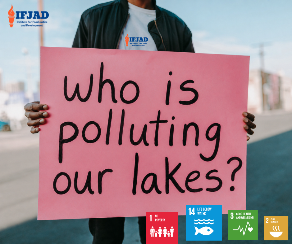lake pollution